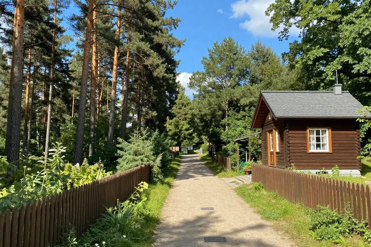 Kiefernwald mit Sandweg und Holzhaus