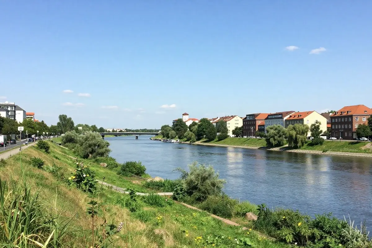 Breites Oderufer mit Wiesen und Uferweg
